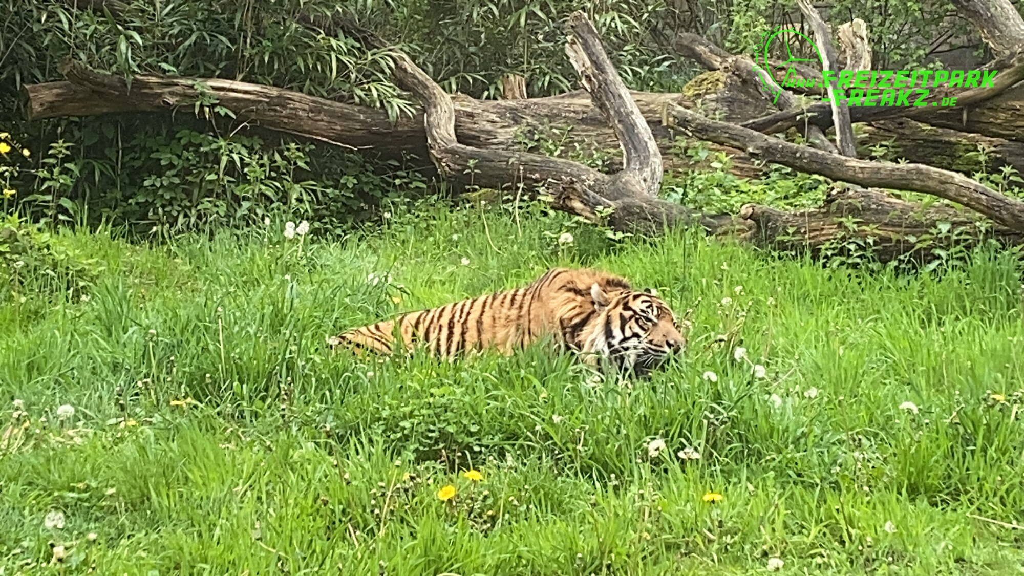 Burger’s Zoo